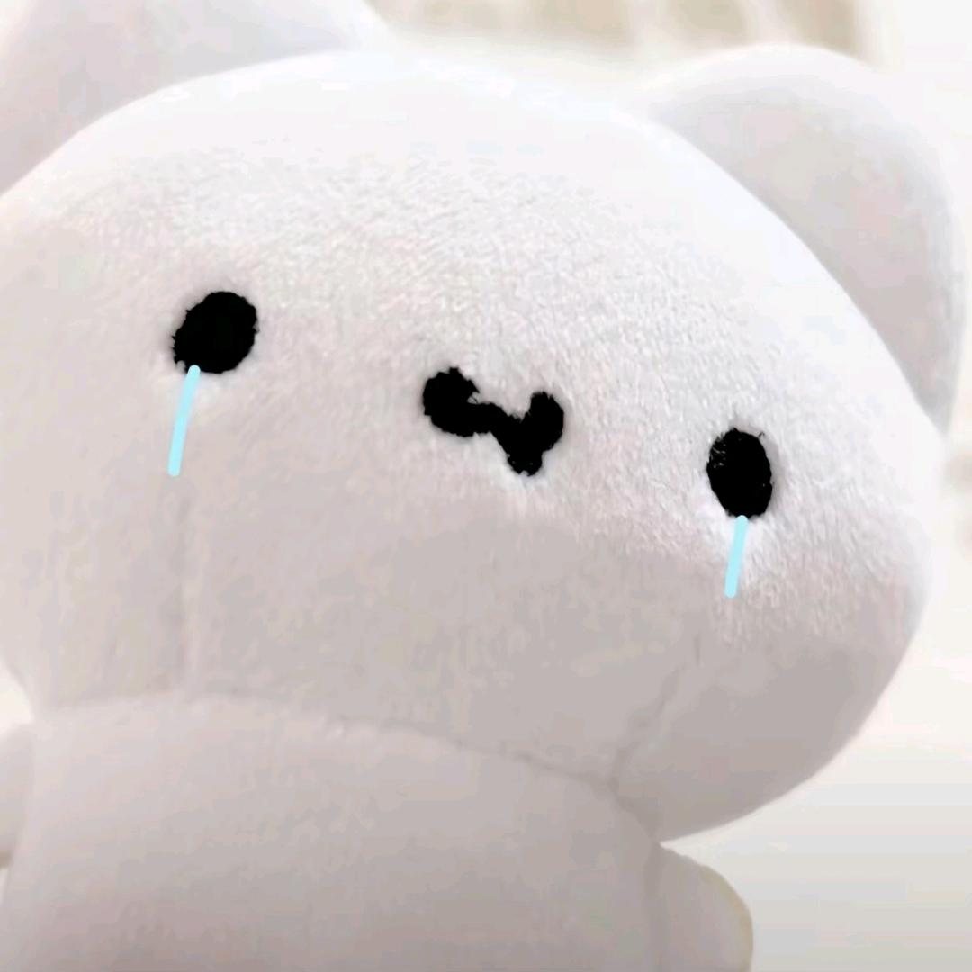 陆云纪