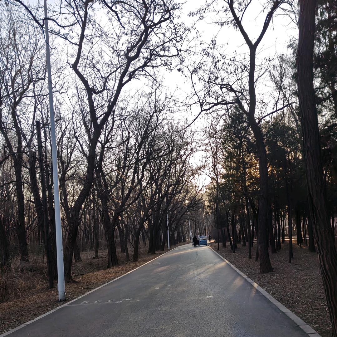 白天不懂夜的黑