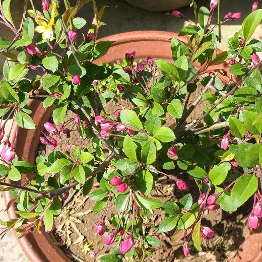 倔犟不认输的我