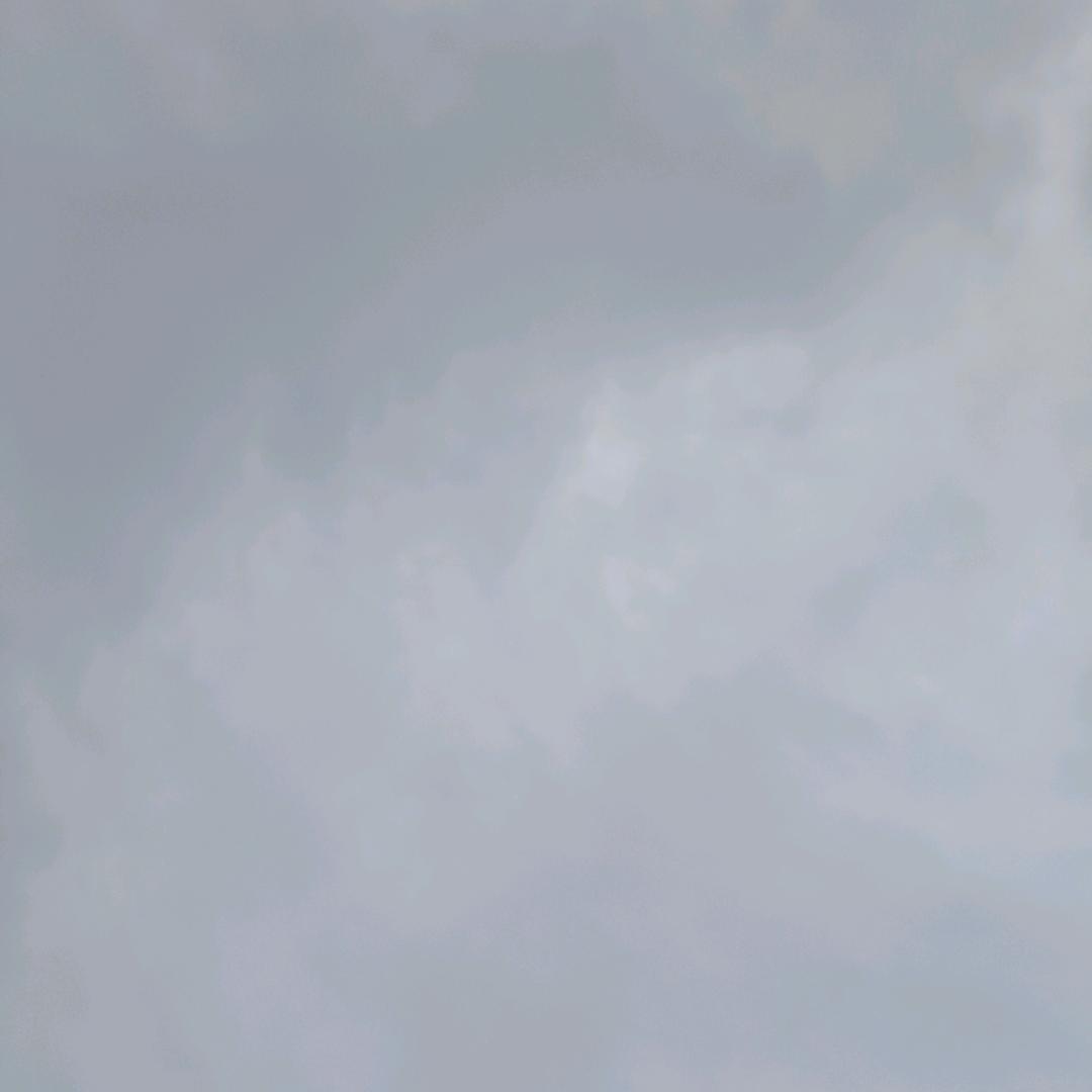 羽鱼1队   携华出行