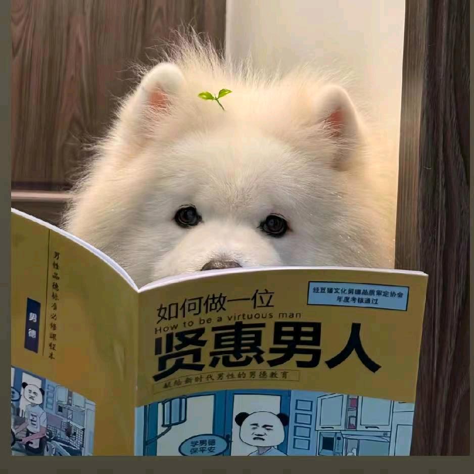 奥特们打小怪兽