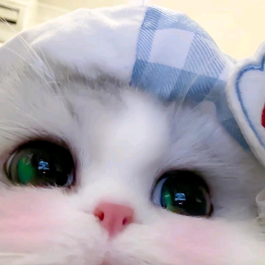 哇哦👻