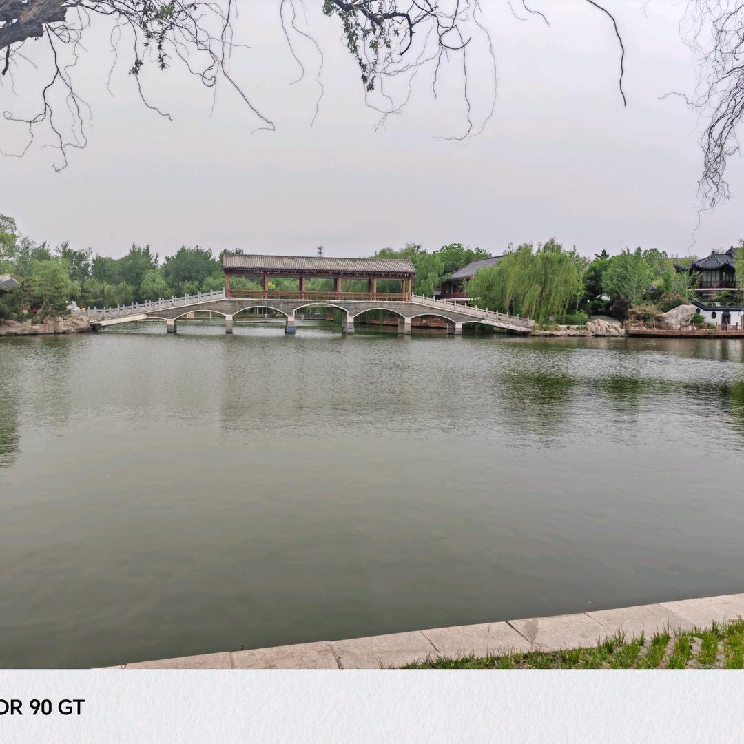 紫风铃摇曳着回忆