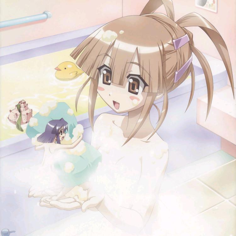 肾皇