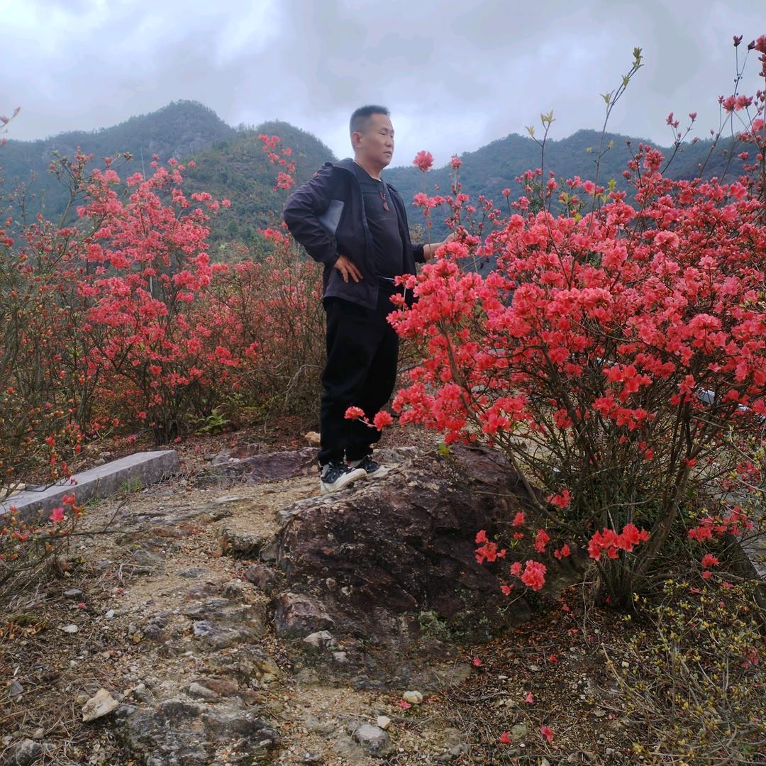 轻风细雨