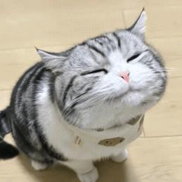 就是你手机上