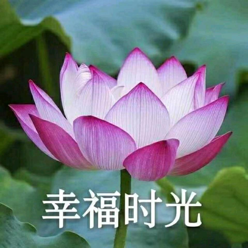 惜缘