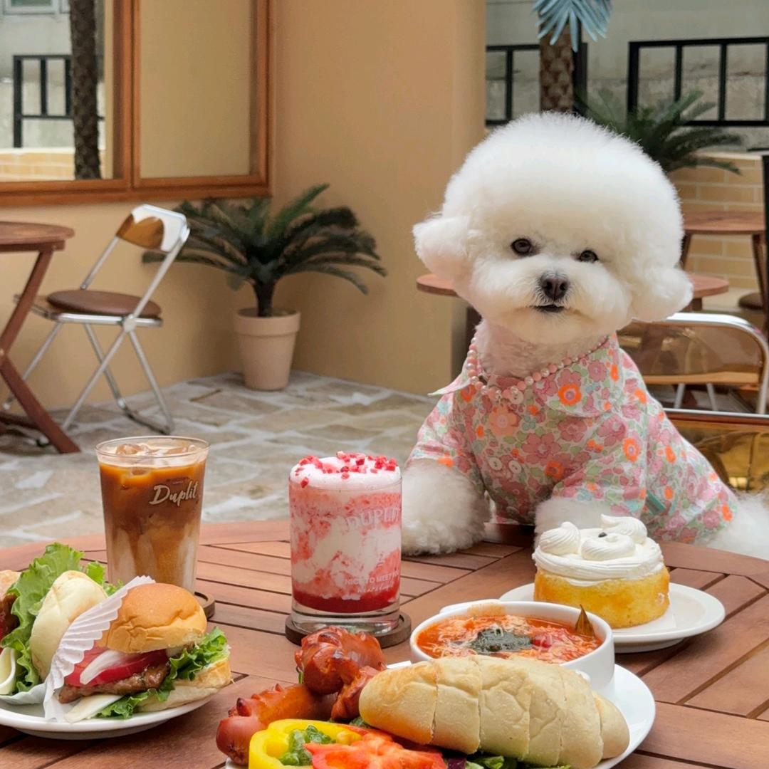 沐掌门宠物用品旗舰店