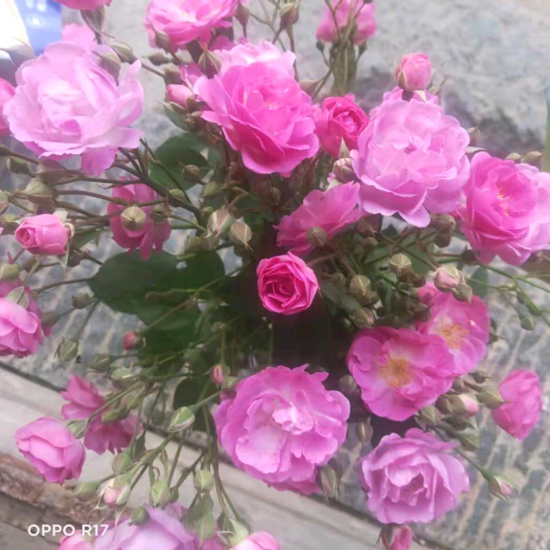 原来你心里根本没有我