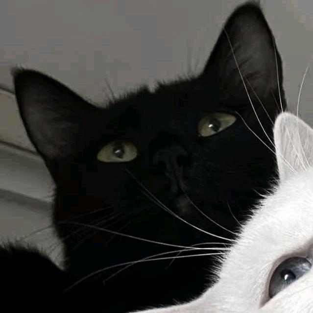 生长痛-˃ ˄ ˂̥̥