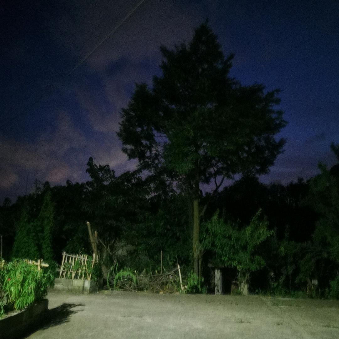 中华田园犬之家