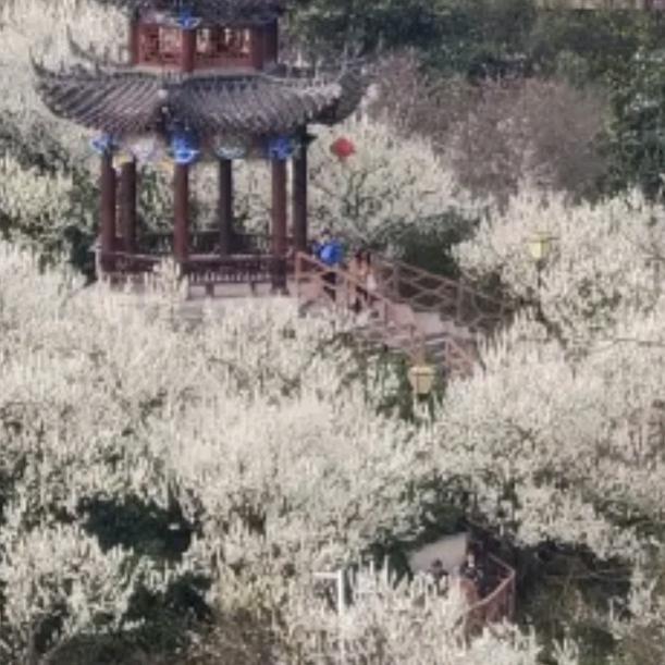 终身幸福