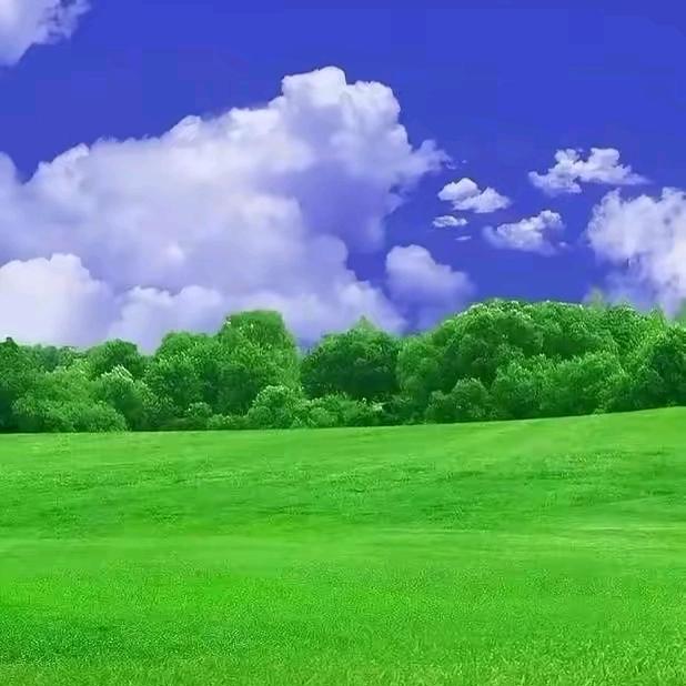 黑暗无边  唯光可破