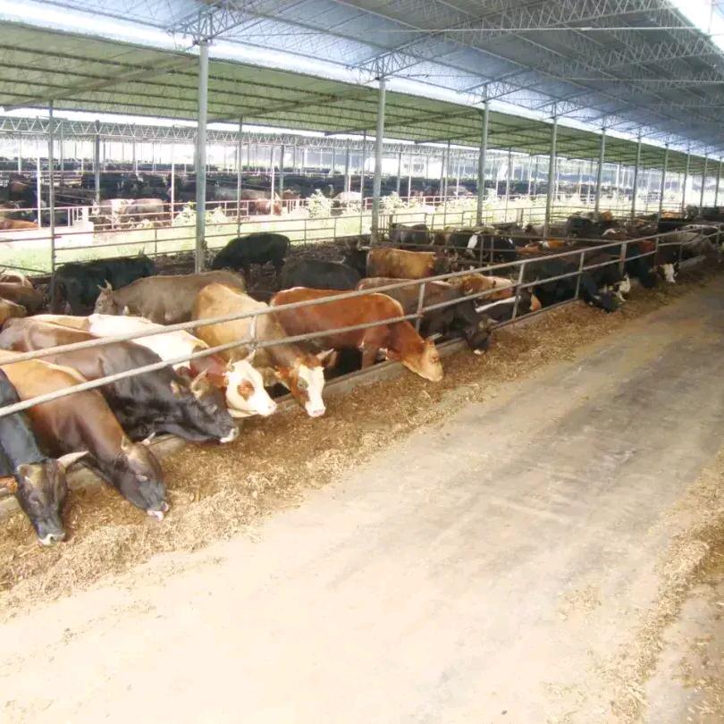 人生其实3分靠运气，7分靠努力。