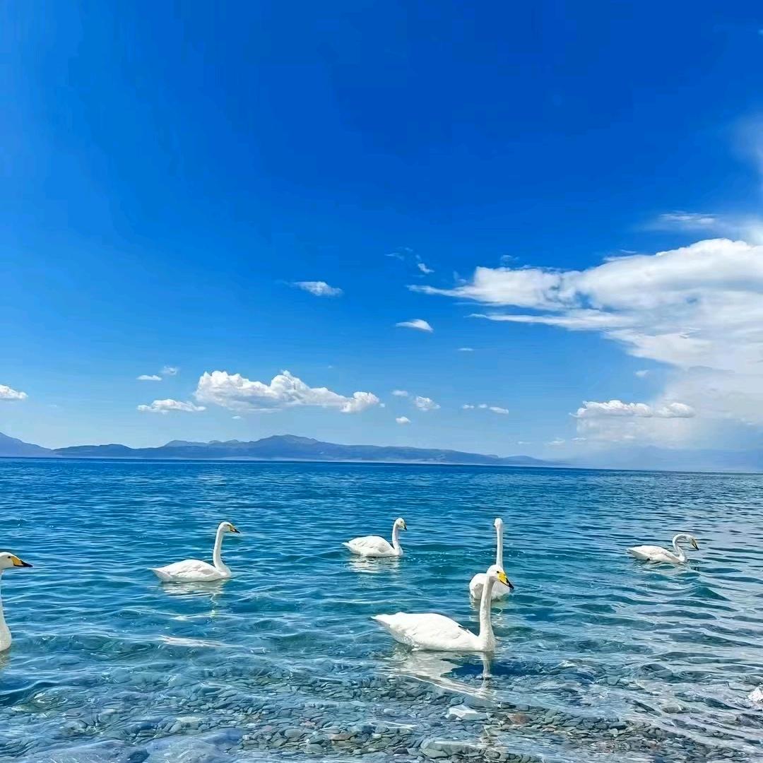 小开心