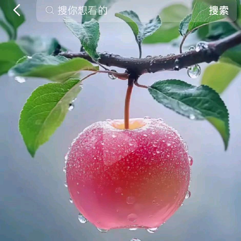 miya《米雅》同学