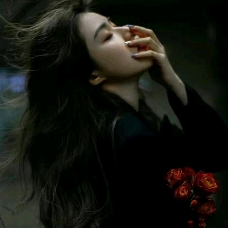 一只懒猫丫😺꧂