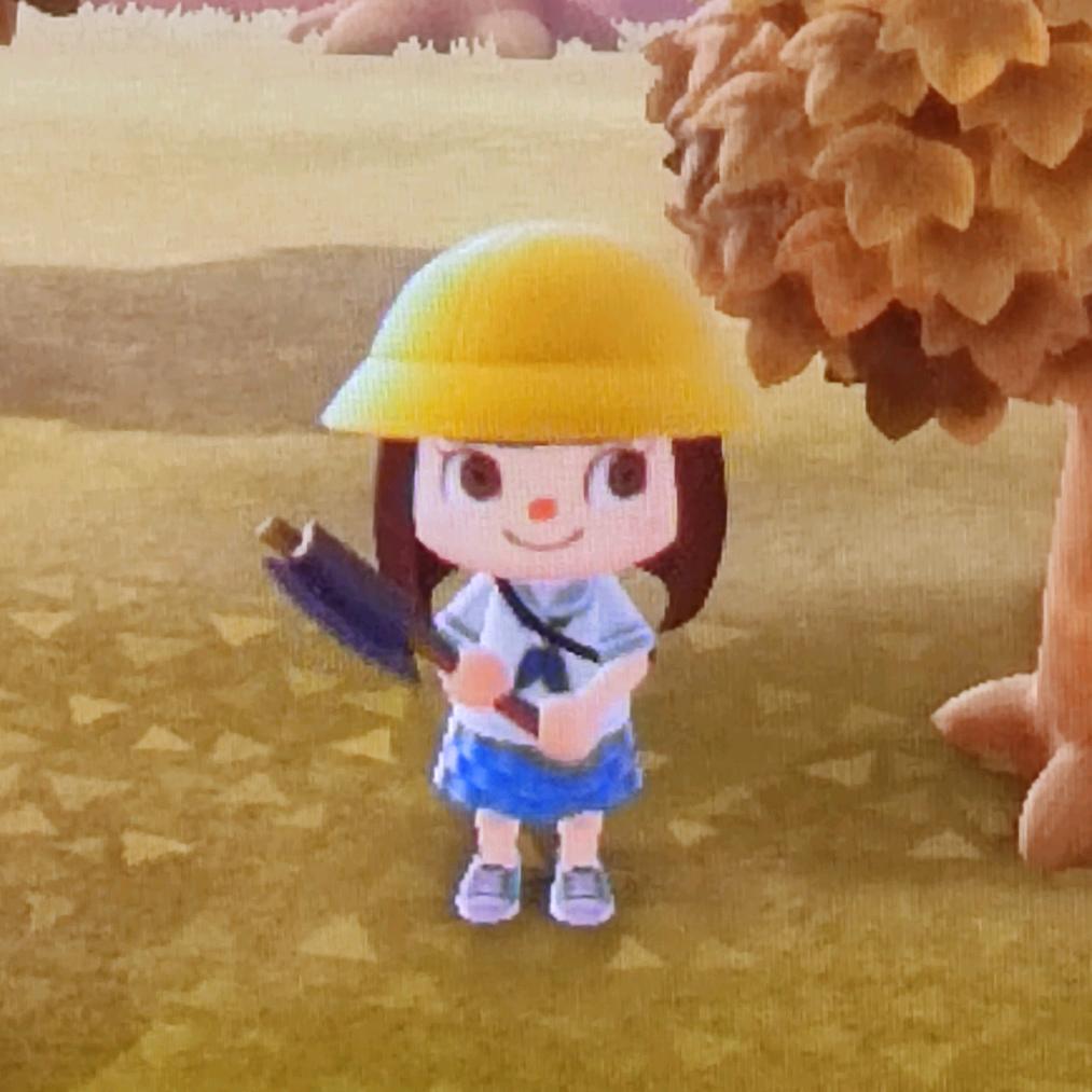 O泡学长👁