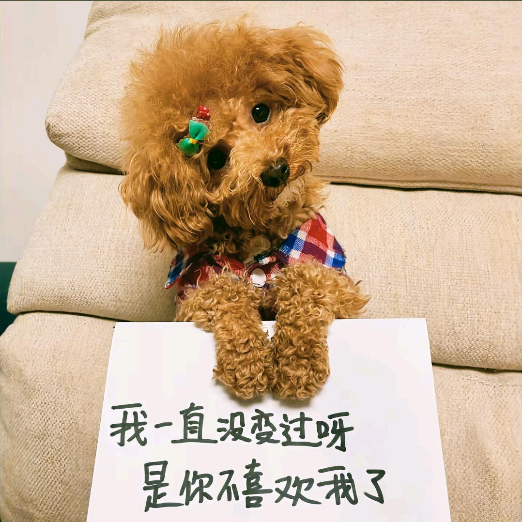 也要迈出豪迈的姿态