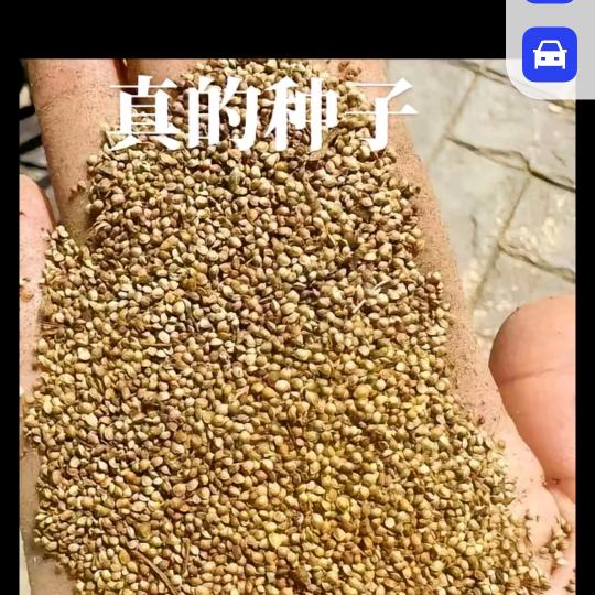 是金子总会发光的相信自己