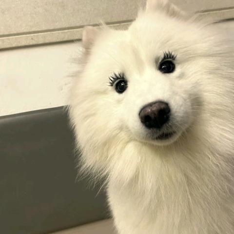 智博教育一一老师