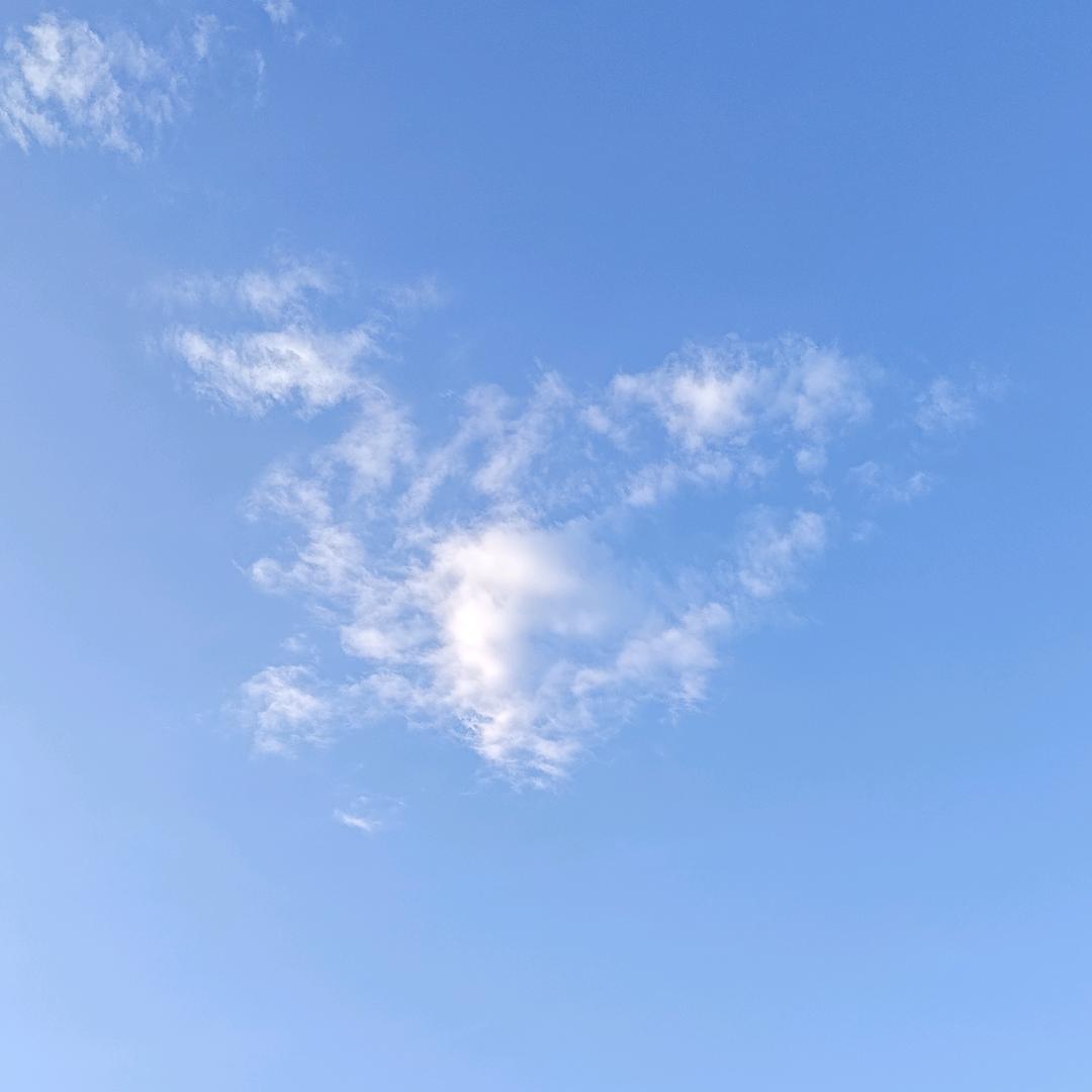 星浅