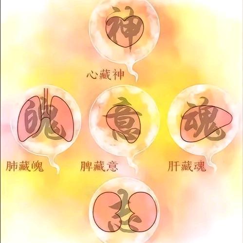 静—虑