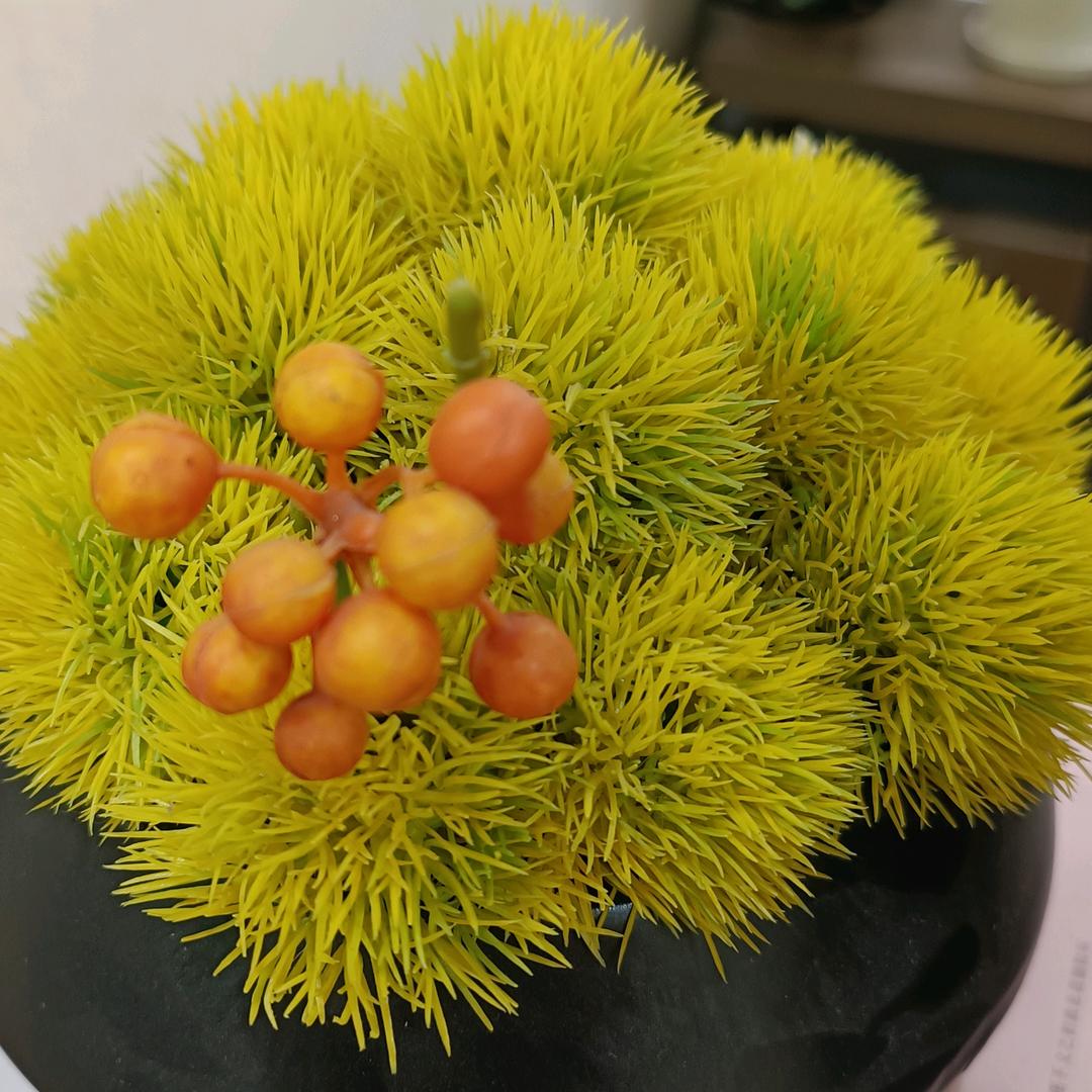 ♥(｡一步踏错￫v￩终身错｡)♥《陳》