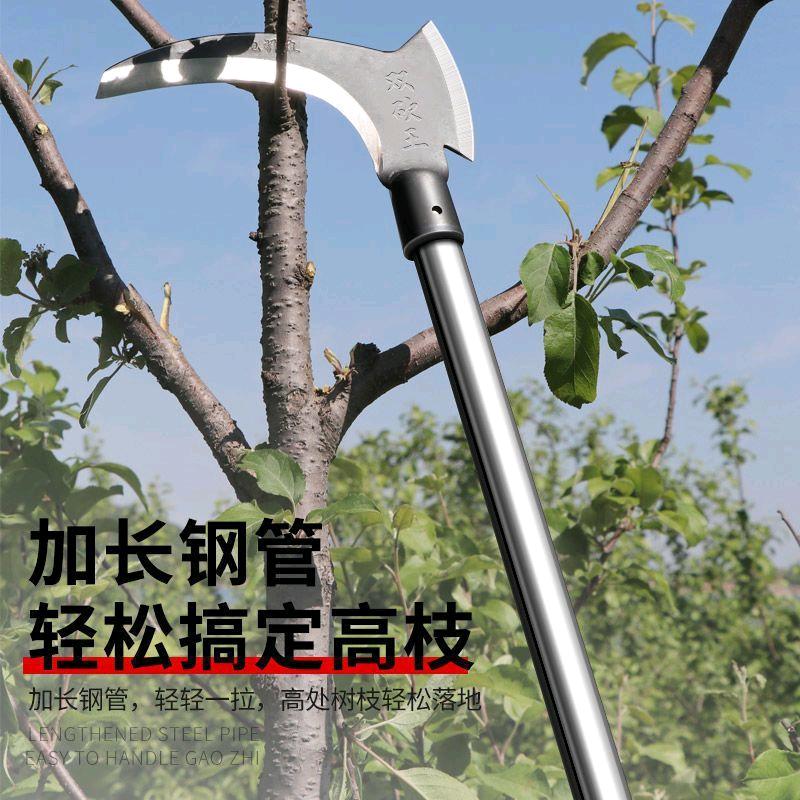 农村乡里人