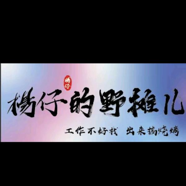 楊仔的野摊儿🔥（创业版）