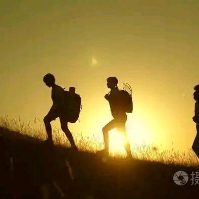 阳光洒满的日子