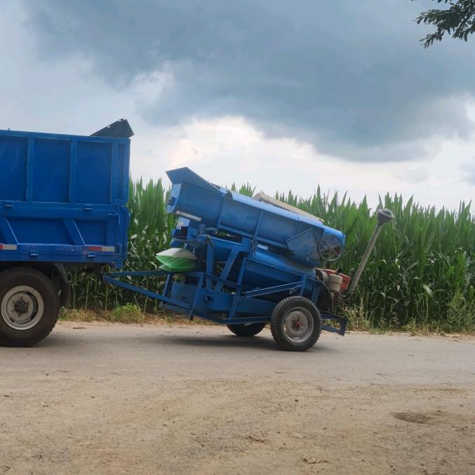 长年收玉米杂粮