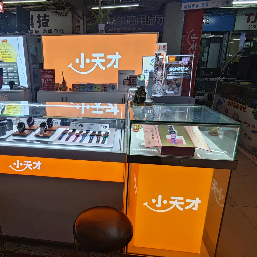 小天才（淄博齐赛科技店）