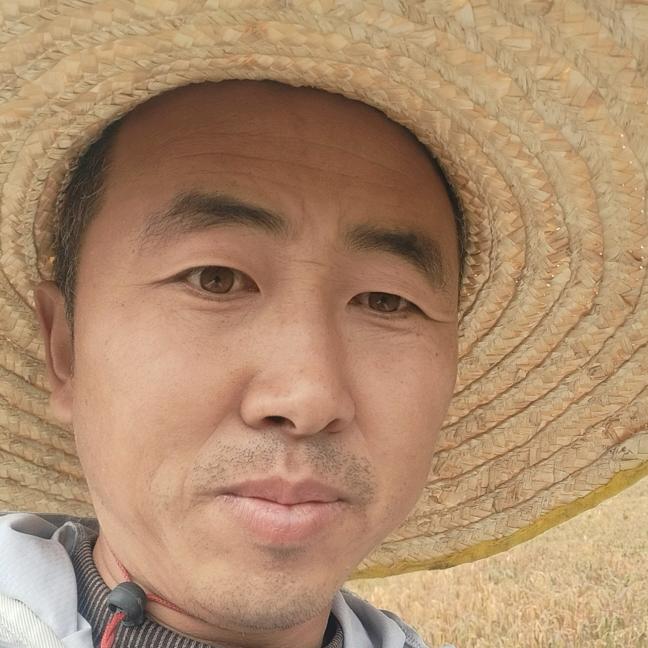 传统生机五谷杂粮