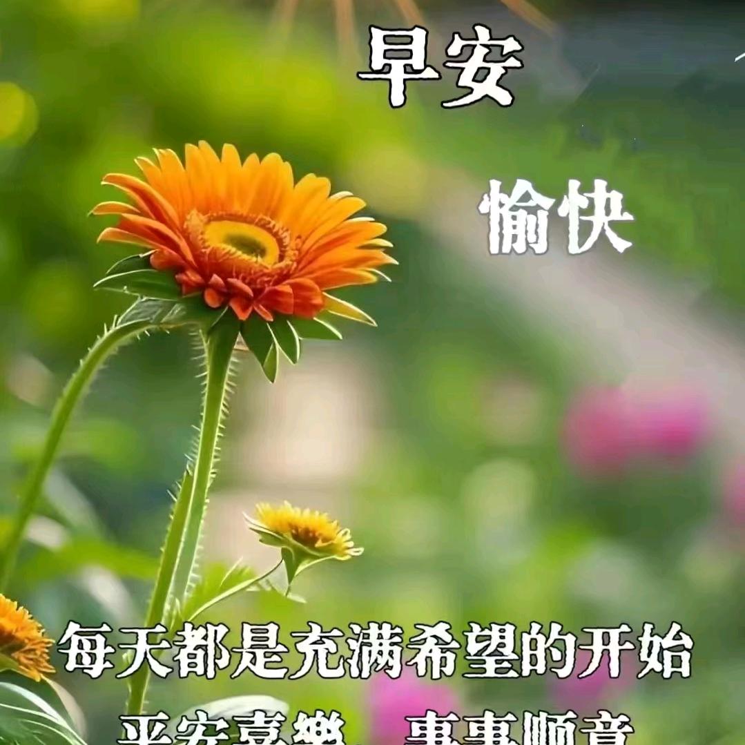 寻找有缘人