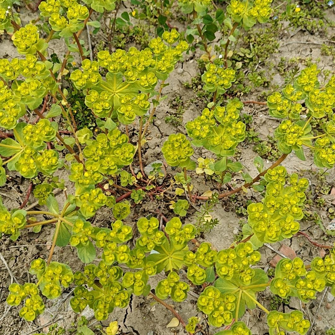 租房您找我，