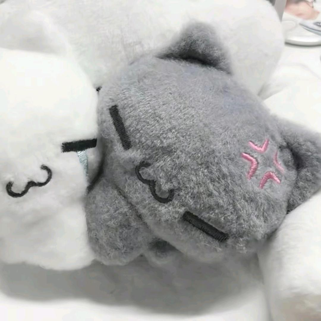 ⁺✞ʚ火鸡面重度依赖ɞ✟₊