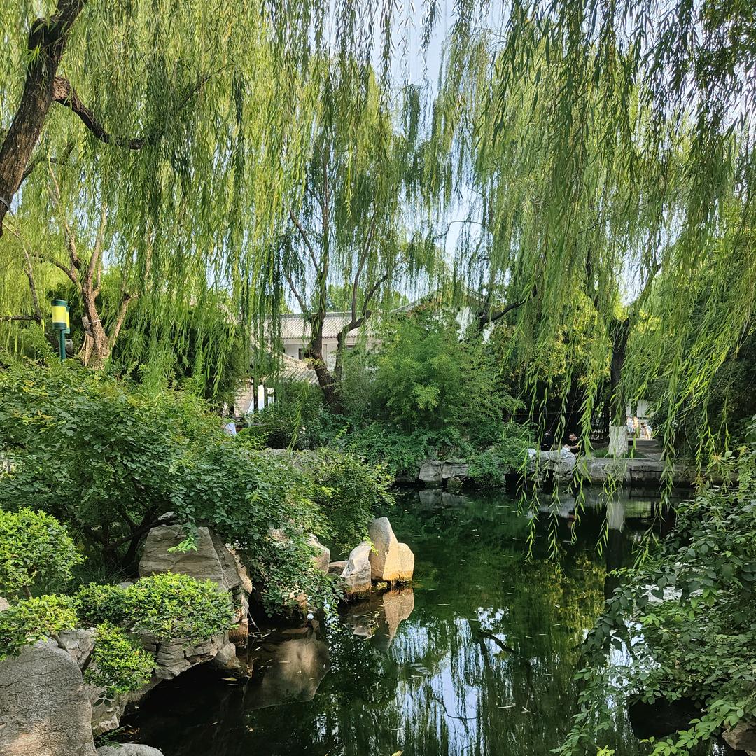 悠然自得