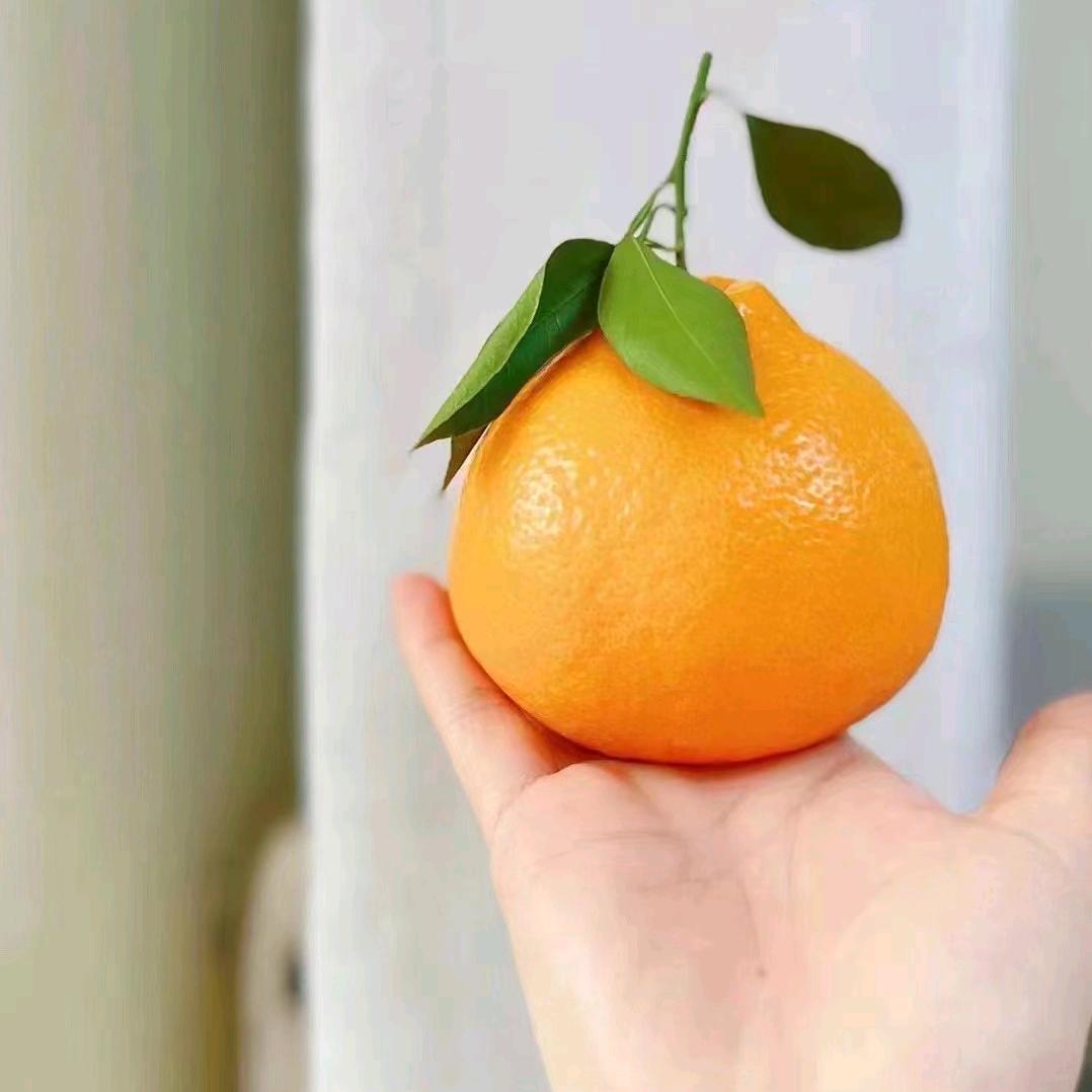 天惠