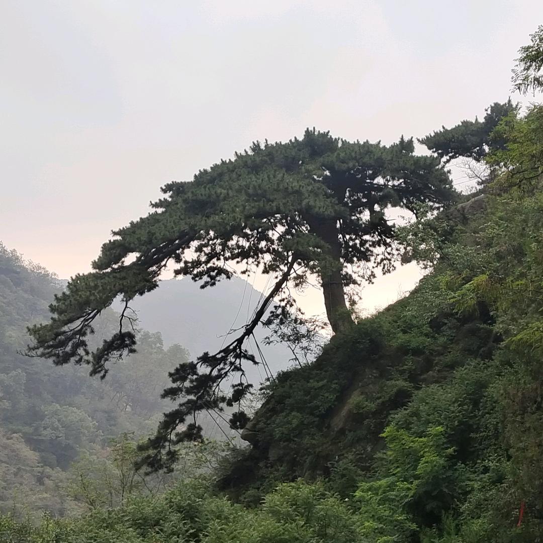 我是谁