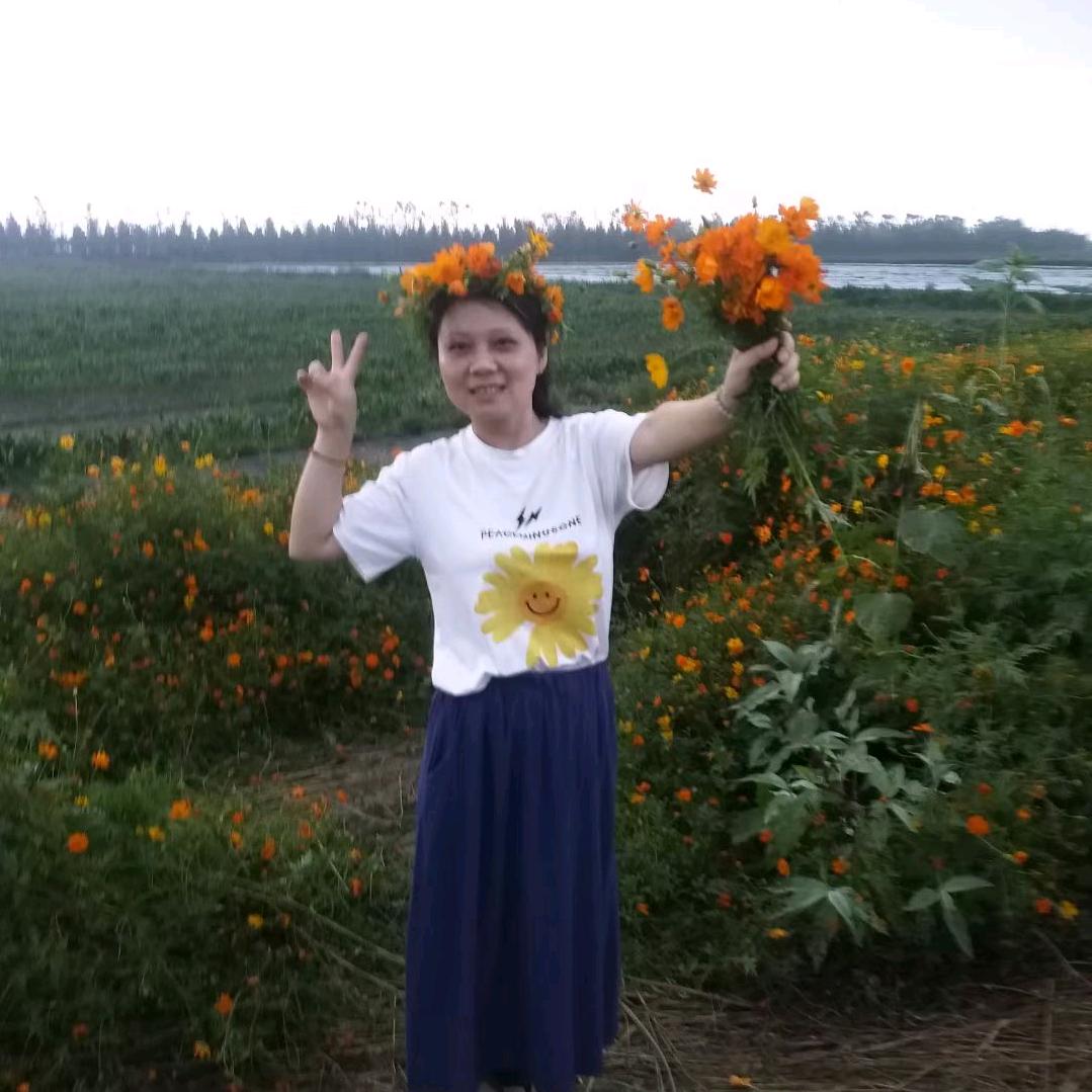 玫瑰花4