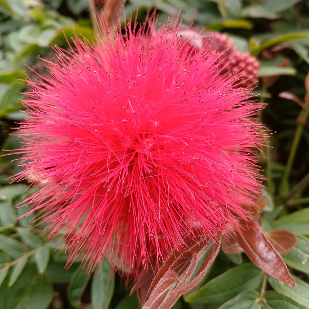 单身姐(｡･ω･｡)ﾉ♡你也惹不起