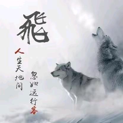 拭目以待