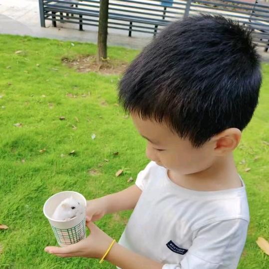 洪同学