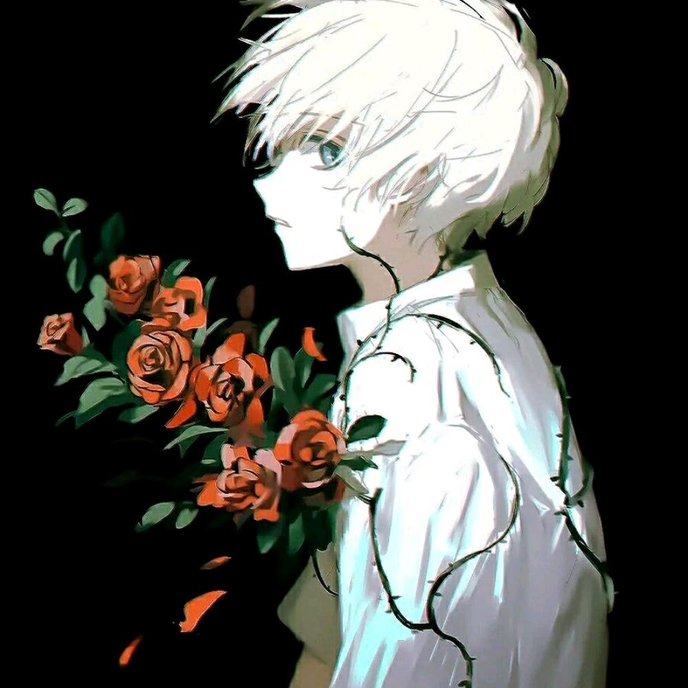 苏苏³⁹度的风🏸