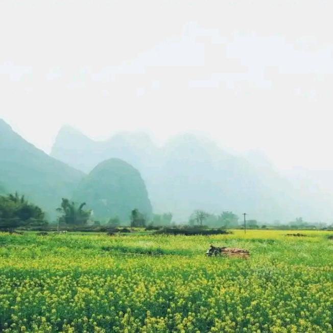 百湖颜电子商务公司K直播号