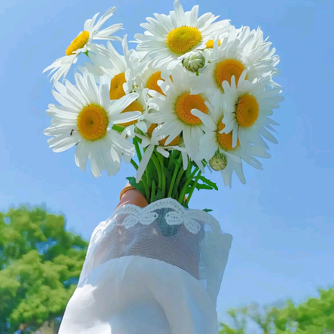 福气满满