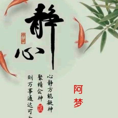 啊梦