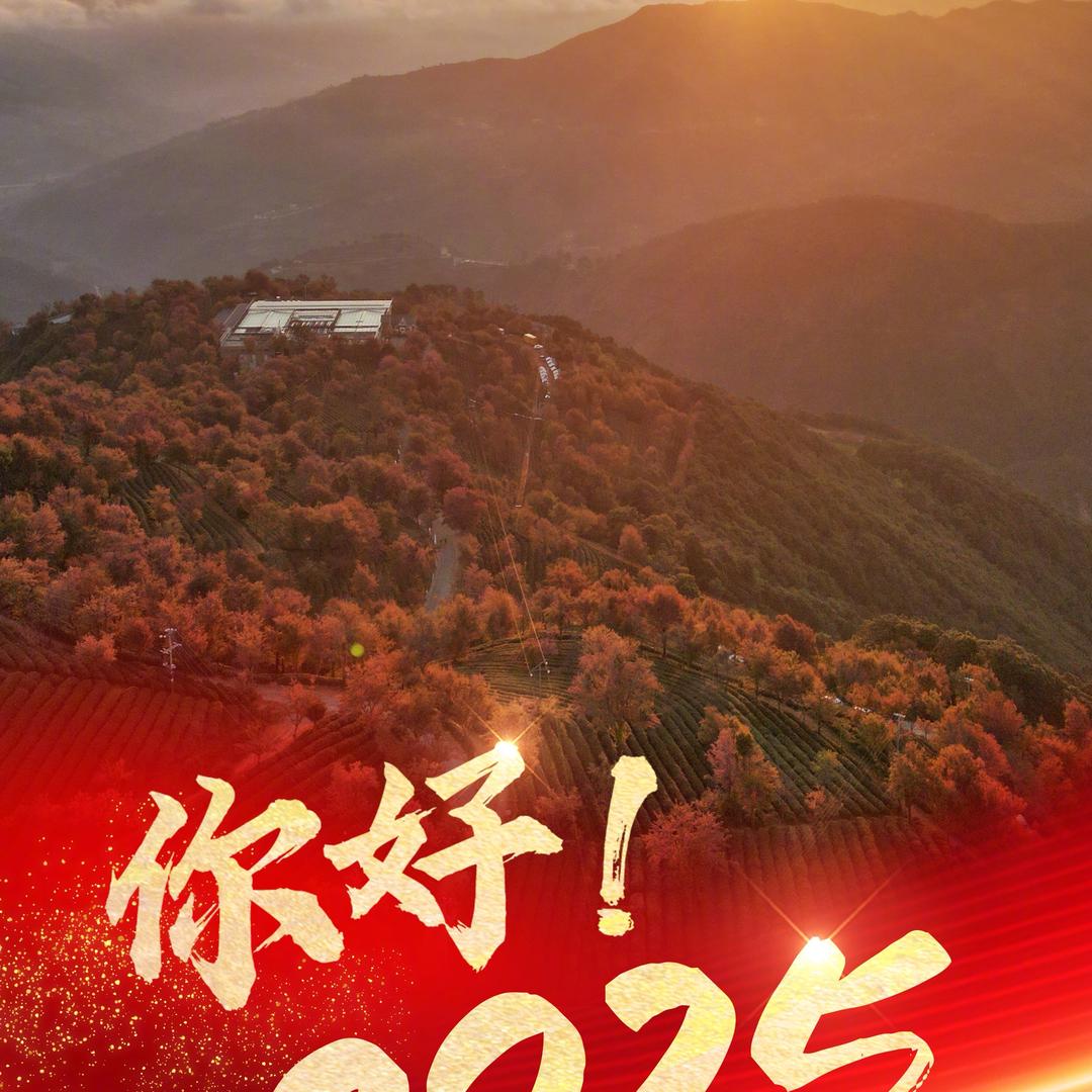 陈某人