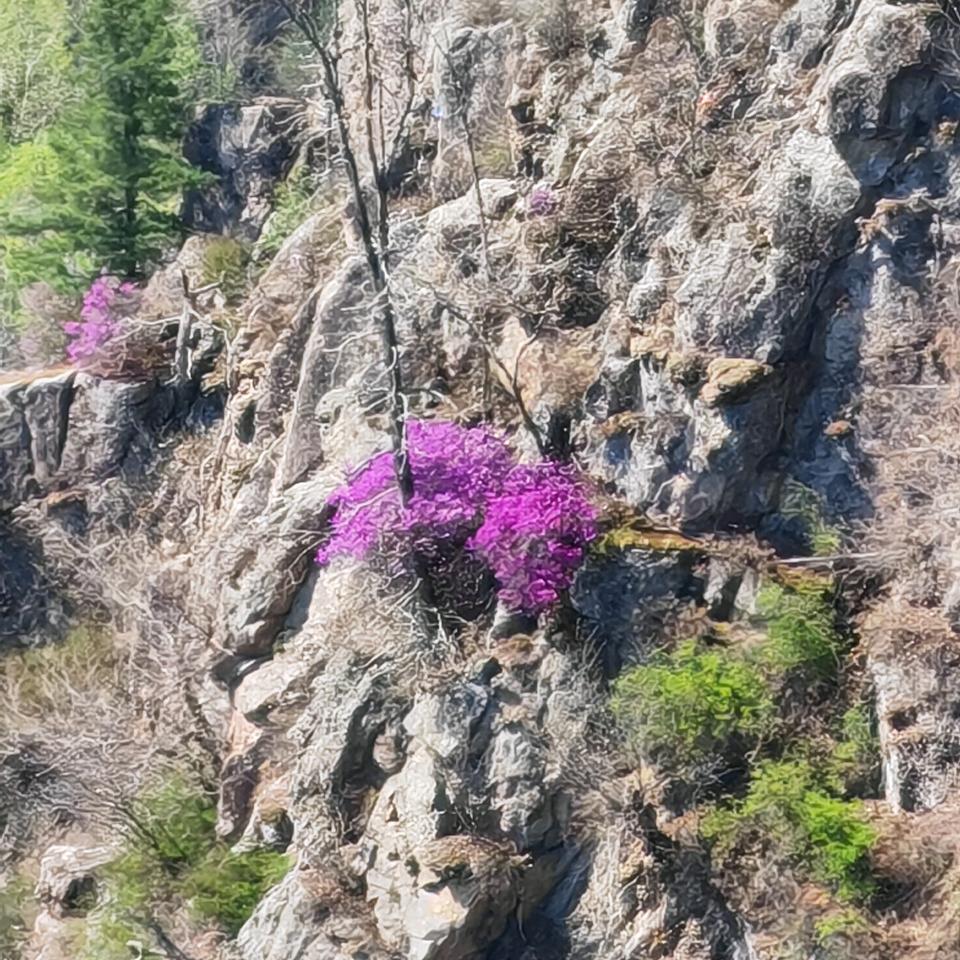 🌞十五🌞
